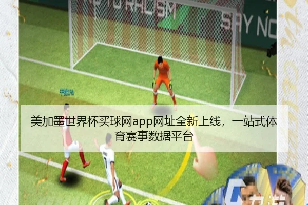 美加墨世界杯买球网app网址全新上线，一站式体育赛事数据平台（starsports）